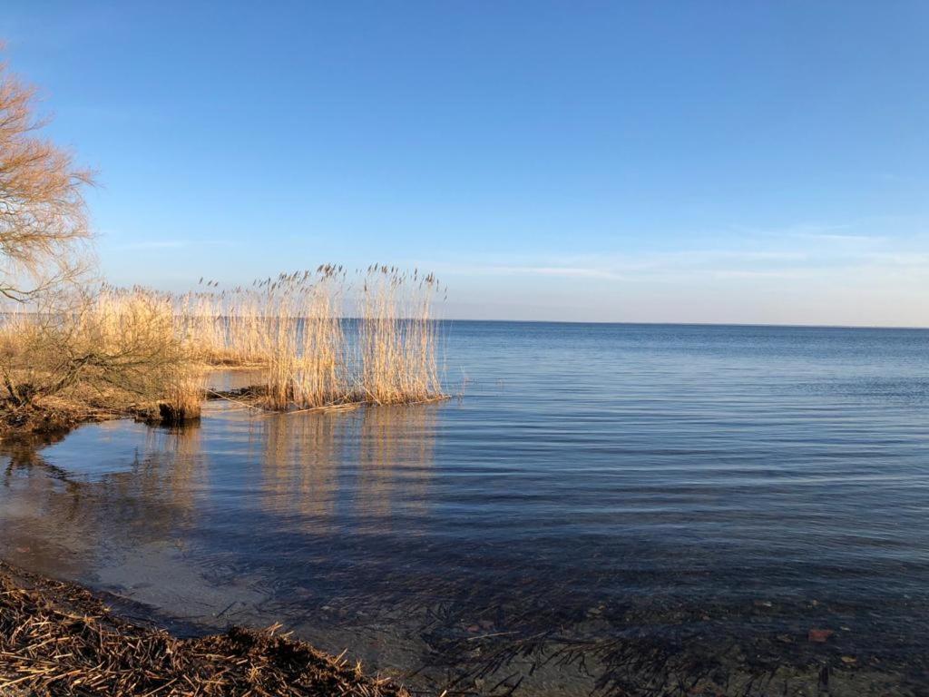 Ferienwohnung Seeblick - Insel Usedom Balm Exteriér fotografie