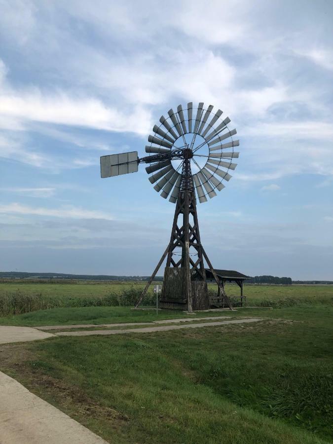 Ferienwohnung Seeblick - Insel Usedom Balm Exteriér fotografie